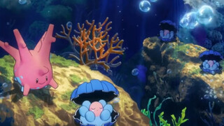 [Pokémon] Aquatic Ecology