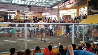 ALDREAM BULIK  change stag dukot sa talian