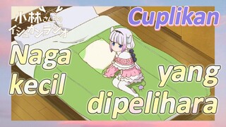 [Miss Kobayashi's Dragon Maid] Cuplikan | Naga kecil yang dipelihara