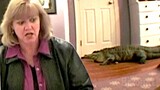 Alligator invades her house | Jackass: The Movie | CLIP