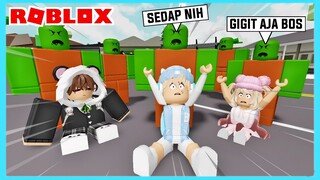 Aku Dan Adiku Di Serang Virus Zombie Di Roblox Brookhaven ft @Shasyaalala