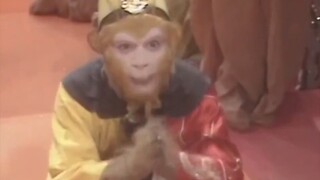 When I was a monkey