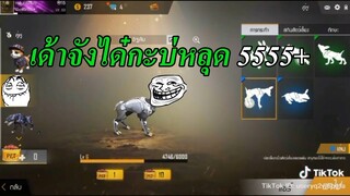 Free Fire | รวมคลิป ฟีฟาย ฮาๆเกรียนๆ [ในTikTok] + การแข่งขันฟีฟาย