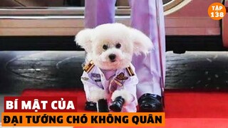 Bí Mật Về Đại Tướng CHÓ Của Thái Lan - Đại Tướng Không Quân Thái | Đàm Đạo Lịch Sử | #138