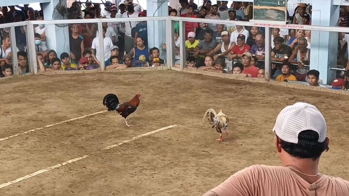 Talaba New Cockpit Arena.Ambet Pula VS. Plaza Boys Bulik. Win Bulik.