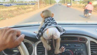 Amazing Princes Maya Help Grandpa Look The Way When He Is Driving On The Car