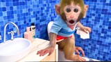 Little monkey Bon Bon going to the toilet is so funny and playing with his friends