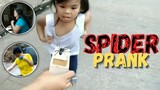 SPIDER PRANK