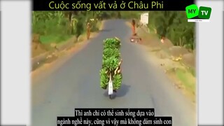 Cuộc sống mưu sinh vất vả ở Châu Phi_phần 4