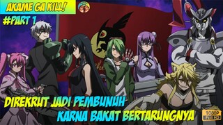 KEKUATAN PEMUDA DESA YANG MEMBAWANYA JADI SEORANG PEMBUNUH BAYARAN !!! ALUR AKAME GA KILL PART 1