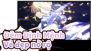 Nghệ thuật Fate đạt đỉnh cao: Vẻ đẹp của ánh sáng và bóng tối TYPE-MOON | AMV