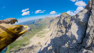 View of the Eagle on the Amazing Alps