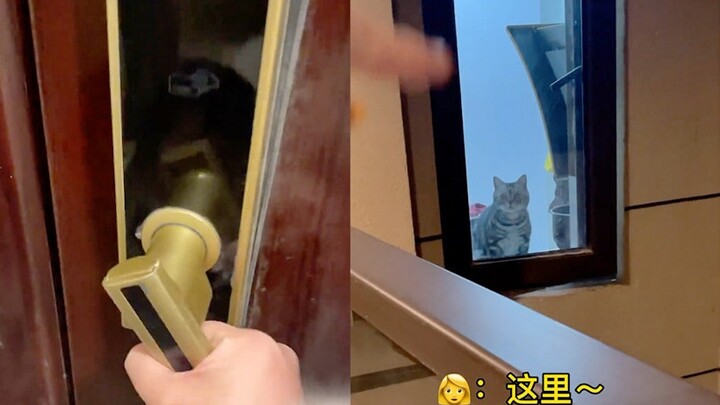 When the mother and son returned home, the door lock had no power and they couldn't get in. The cute