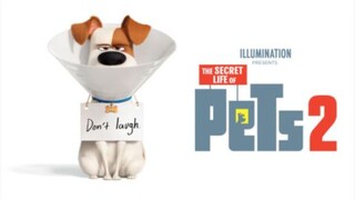 The Secret Life of Pets 2