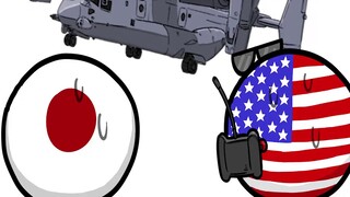 【โปแลนด์บอล】สาเหตุของอุบัติเหตุ