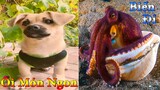 Dương KC | Bông Bé Bỏng Ham Ăn #12 | chó thông minh đáng yêu | funny cute smart dog pets Thú Cưng TV