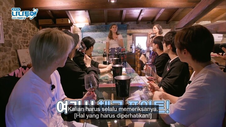 "NANA TOUR" With SEVENTEEN ( Sub Indo ) EPS 3-3 WEVERSE VER