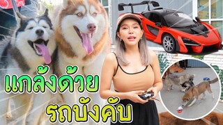 รถบังคับ VS ไซบีเรียน - ข้าวนึ่ง & เดอะแก๊ง