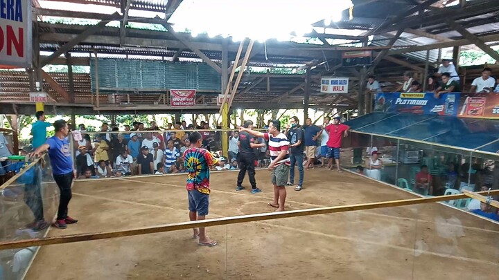 1st fight win ...Gilmore 🙂 Management kalaban ..