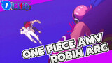 [One Piece / Robin Arc] For You, I Dare to Fight Against the Whole World_1