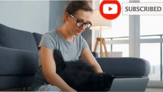watch documentary film "12 Surprising Secrets Your Cat Knows About You: Unveiling Feline Insights"