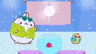 Molang - The Goldfish | Comedy Cartoon| More ↓ ↓ ↓