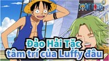 [Đảo Hải Tặc] Người thường thì không hiểu nổi tâm trí của Luffy đâu