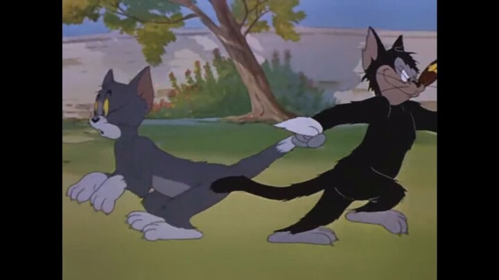 Pull your tail