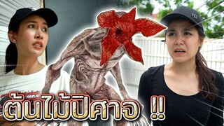 ต้นไม้ปิศาจ !! เมล็ดปริศนาจากยายลึกลับ - DING DONG DAD