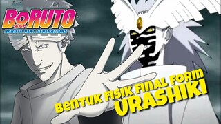 Pembahasan Final Form Urashiki Otsutsuki Episode 135