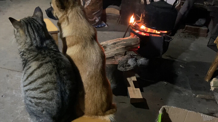 The two furry kids have to squeeze together and warm themselves up over the fire.