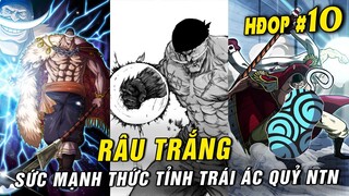 Sức mạnh thức tỉnh Trái Ác Quỷ của Râu Trắng , Đặc điểm chủng tộc Quỷ của Kaido [ Hỏi đáp OP #11 ]