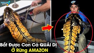 ✈️ 10 Phát Hiện Huyền Bí Và Kỳ Lạ Nhất Được Tìm Thấy Ở Amazon Mà 99% Bạn Chưa Biết | Khám Phá Đó Đây