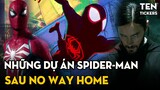 SPIDER-MAN - Những Dự Án Nối Tiếp NO WAY HOME | Across The Spider-Verse, Morbius Và Gì Nữa?!