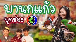 พานกแก้วบุกช่อง3 รายการแซ่บพาซ่าส์ Ep.164