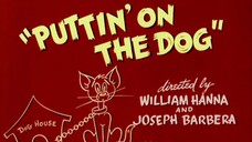 TOM & JERRY || pittin' on the dog ( bahasa Indonesia )