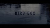 Bird Box HD