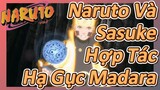 Naruto Và Sasuke Hợp Tác Hạ Gục Madara