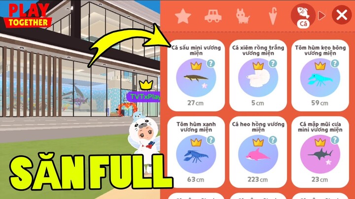 Thử Trở Lại Câu Cá Sau 2 Tháng Săn Cá Còn Thiếu Bất Ngờ TVT Dính Cá Xịn | Play Together