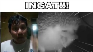 Ingat Darah Keturunan Pe Ka i Akan Tetap Mengalir Kepada Anak Cucunya...(Meme)