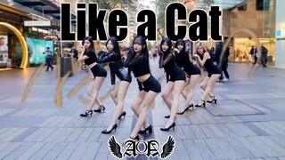 【AOA】 'Like a Cat' 猫步轻悄谁能不爱！| 悉尼 kpop in public