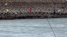 [Tidak bisa menyembunyikannya secara diam-diam] Duan Jiaxu melamar di tepi pantai.