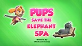 PAW Patrol_S10E19:Pups Save the Elephant Spa_Pups Save an Underwater Otis