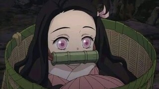 Momen Cute Nezuko(kimetsu no yaiba)sub indo