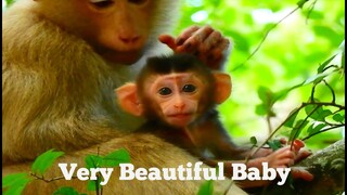 VERY BEAUTIFUL BABY REX, BABY REX SMILING FACE VERY LOVELY, ROSE AND REX​ MONKEY ARE LOVING YOU