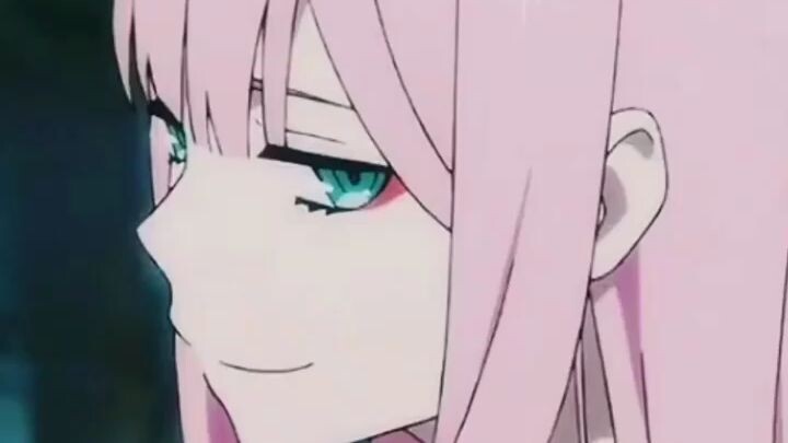 zero two (♡∀♡)