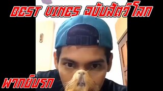 BestVines ฉบับสัตว์โลก EP.17 [พากย์นรก]