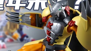 Cuộc chiến của tuổi thơ sắp đến, đó có phải là điều bạn muốn! Bandai FRS Phiên bản truyền hình Trận 