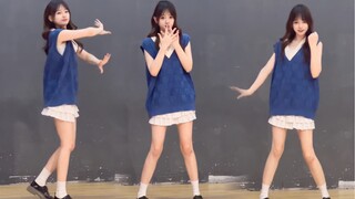 【kiku】聚光—2023BDF
