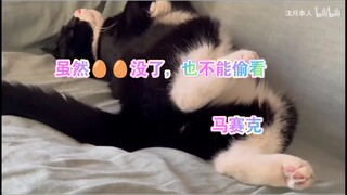 【沈月】月月独爱小破站，大家也要喜欢她/芝麻无🥚朝天版